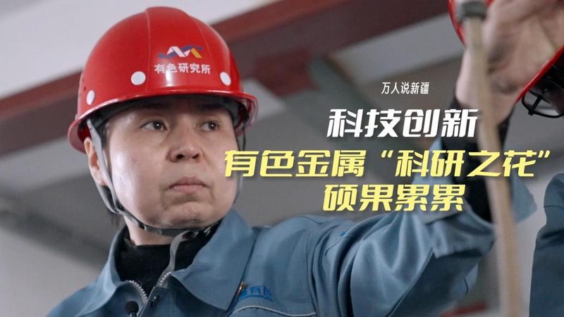 软件稳定性测试：揭秘十大品牌的背后逻辑